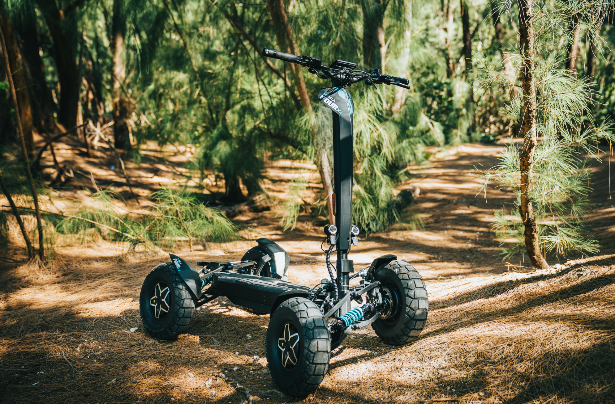 Greenvilles elscooterleder: Bästa rutterna och tipsen